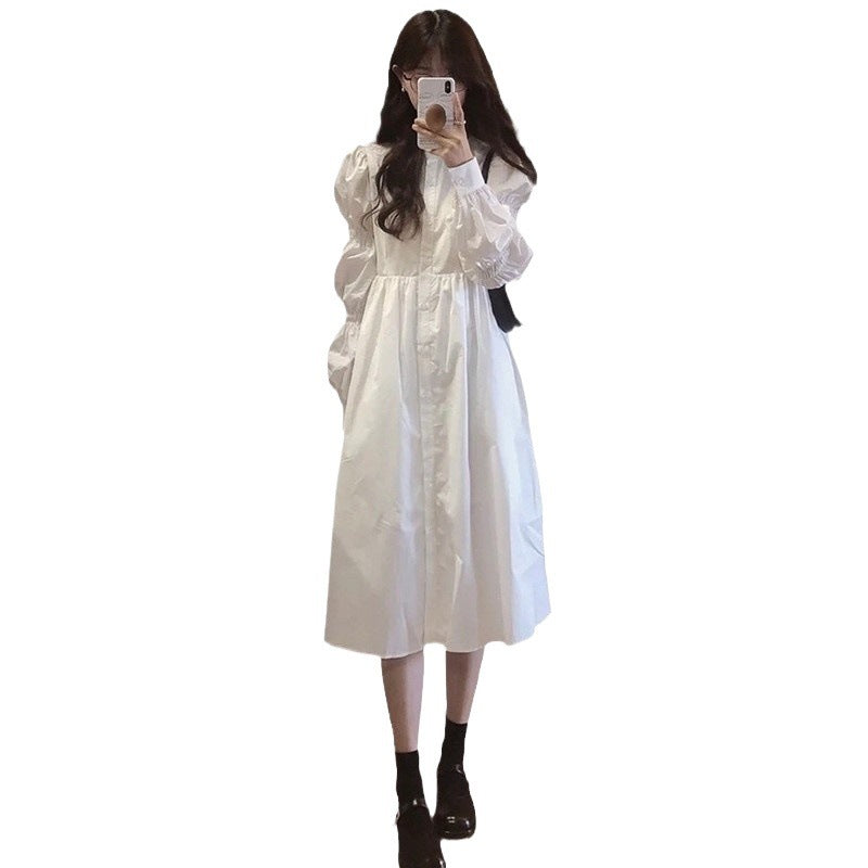 Korean Style Gentle Temperament Dress Spring And Autumn New