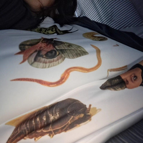 Female Casual Insect Print Midriff-baring Short Sleeve