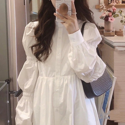 Korean Style Gentle Temperament Dress Spring And Autumn New