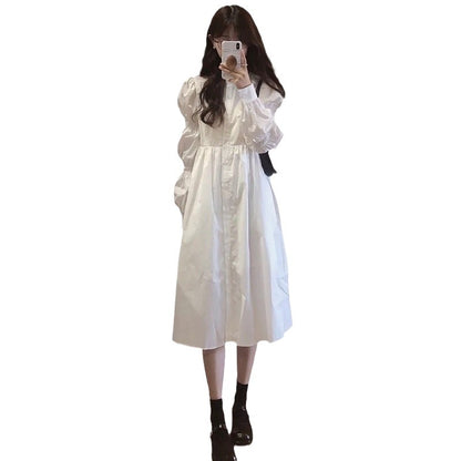Korean Style Gentle Temperament Dress Spring And Autumn New